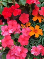IMG_20250705_203634.jpg