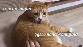 1755981867166.webp