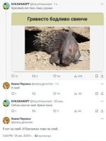 zanimatelnoj_10281.jpg