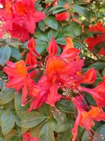 IMG_20240525_153123.jpg
