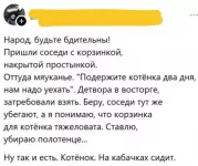 1756232021959.webp