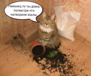 1756232366467.webp
