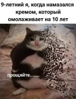 1756319186431.webp