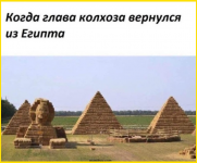 image (2917).png