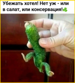 image (3060).png