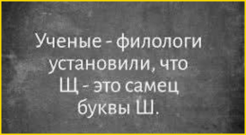image (3055).png