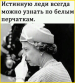 image (3051).png
