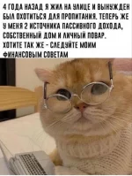 1000025684.webp