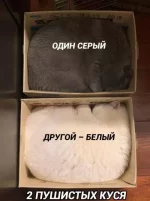 1756670143520.webp