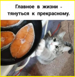 image (71).png