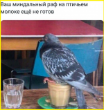 image (68).png
