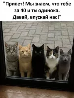 1757183417008.webp