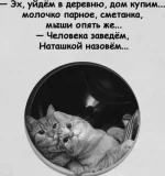 1757183489574.webp