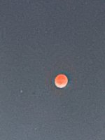 IMG_2944.jpeg
