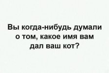 1757333034.jpg