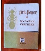 68949688_original.jpg