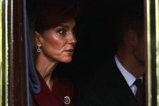 gettyimages-2235363114-612x612.jpg