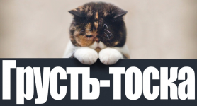 грусть.png