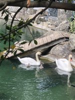 IMG_9164.jpeg