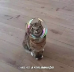 1758721941840.png