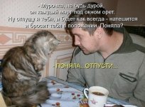 JgO0tMiXm9Q.jpg