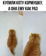 1759268588870.webp
