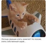 SmartSelect_20250929_144747_Telegram.jpg