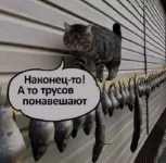 1759513224082.webp