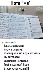 1759623589573.webp