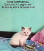 1759623791163.png