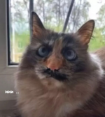1759624053688.png