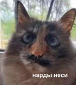 1759624093108.png