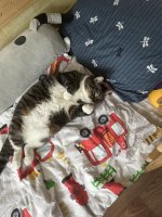 IMG_1088.jpeg