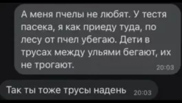 memy4.webp