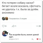 memy15.webp