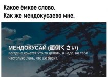 1759781442.jpg