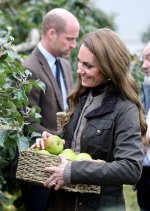 gettyimages-2240993698-612x612.jpg