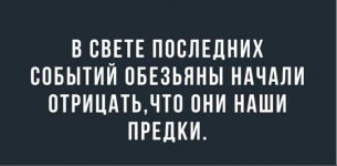 yumor16.jpg