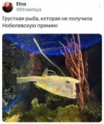 1760534773.jpg
