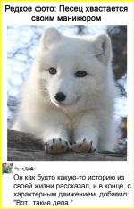 image (1115).png