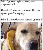 69975481_original.jpg