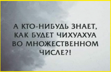 image (1360).png