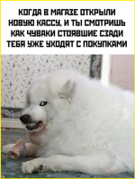 image (1355).png