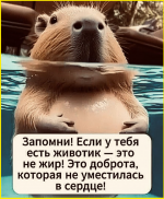 image (1535).png