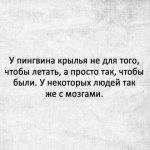 70090434_original.jpg