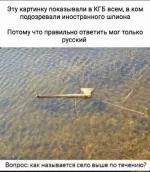 1760919733793.webp