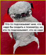 image (2853).png