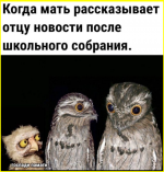 image (3023).png