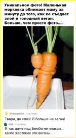 image (3565).png