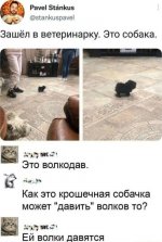 1761369690.jpg